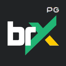 Experiência Profissional com a Plataforma brxbet